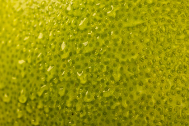 Macro lemon slice