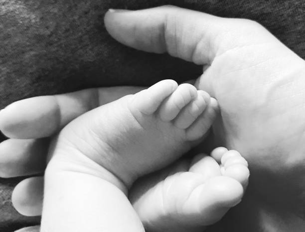 istock Baby Feet in Hand 2197864070