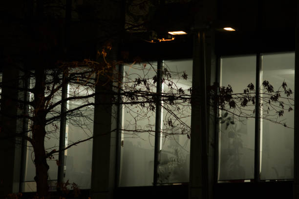 Office Building with Large Windows Viewed from Outside at Night. An office space with large, illuminated windows is captured from an exterior perspective during the evening or night.