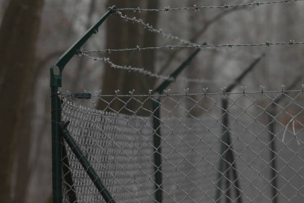 istock Barbed Wire: A Symbol of Security and Restriction 2197872977