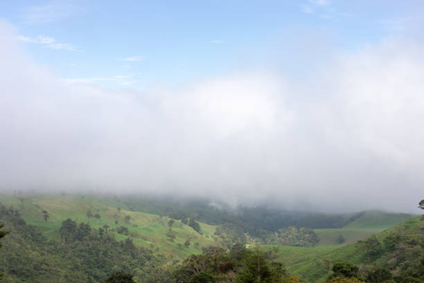 green valley with fog