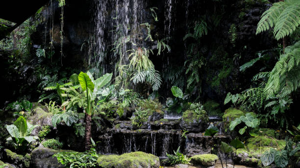 istock Rainforest with waterfalls and tropical leaves 2197873929