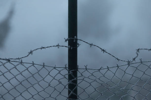 istock Barbed Wire: A Symbol of Security and Restriction 2197873931