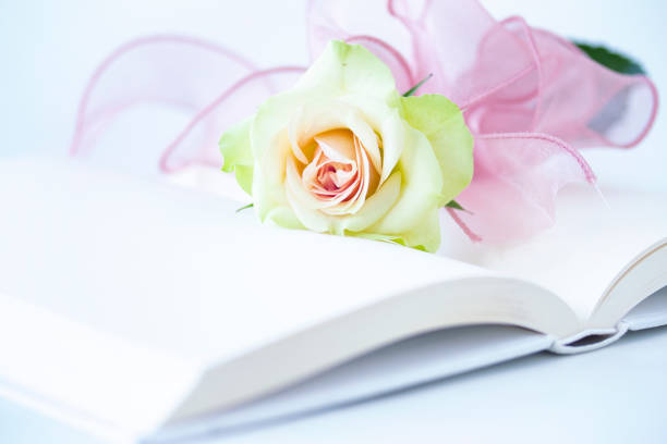gradation beautiful roses bouquet and ribbon on open book.