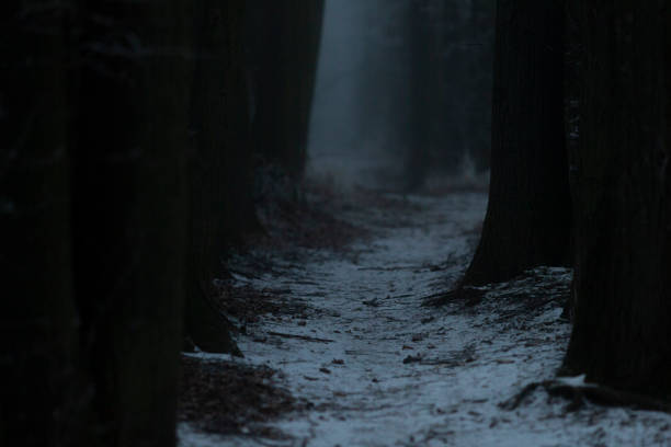 istock Dark Foggy Tunnel with Mysterious Lighting and Foreboding Atmosphere 2197875715