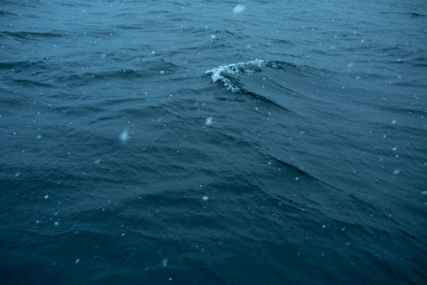 Glistening waves ripple beneath falling snowflakes on a calm winter day.