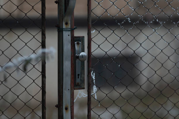 istock The metal gate closure with chain link fencing is highlighted during wintertime 2197877629