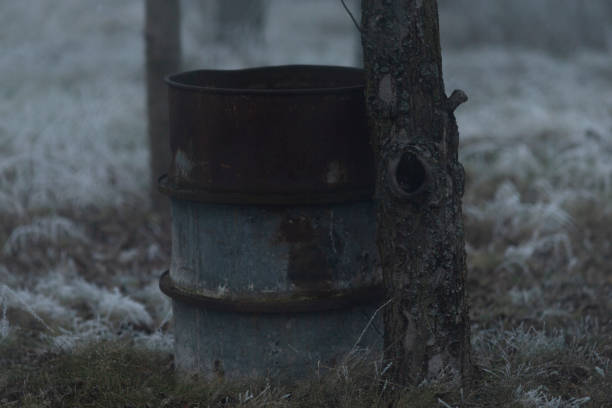 A weathered, rusty barrel leans against a tree in a foggy outdoor setting, enveloped by lush grass, enhancing the eerie atmosphere