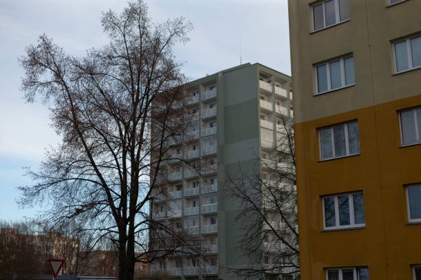 istock There is a tall building located with a tree standing in front of it 2197878388