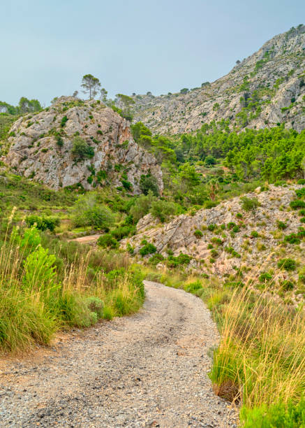 istock Road through the Serra de Tramuntana - Mallorca, Spain 2197880006