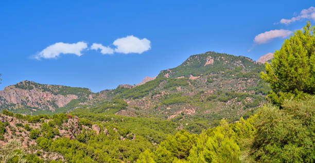 istock Majestic forested hills under a blue sky in Majorca, Spain 2197880019