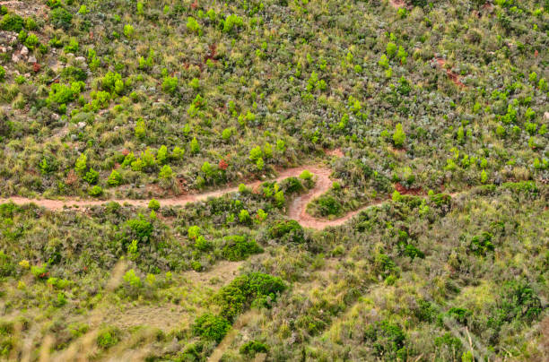 A scenic view of a hiking trail winding its way through a verdant, green landscape in Majorca, Spain. The view captures the serene environment of nature, abundant with plants and shrubs.