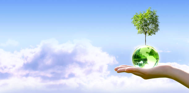 istock World Earth Day or Ozone Day concept. Saving environment, save and protect green planet and ecology. Globe and tree in hand on sky background. 2197883045