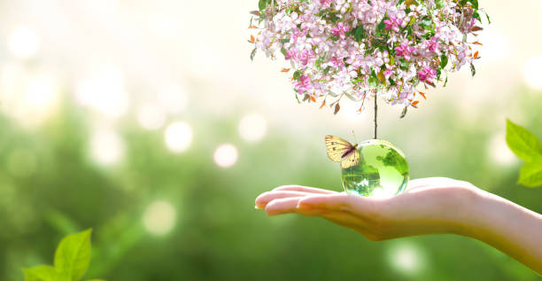 istock World Earth Day concept. Saving environment, save and protect clean green planet and ecology. Globe, butterfly and blooming sakura in hand. 2197883056