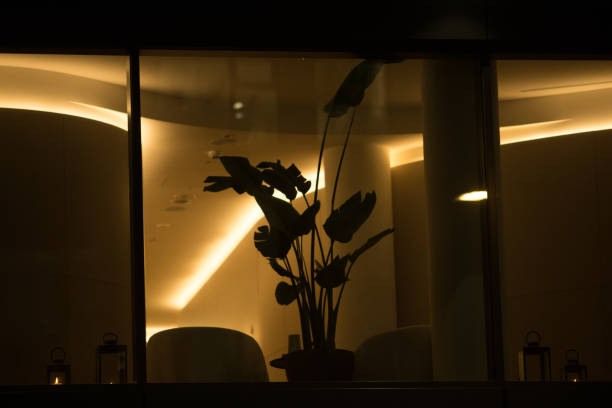 A building that has numerous windows illuminates its surroundings at night
