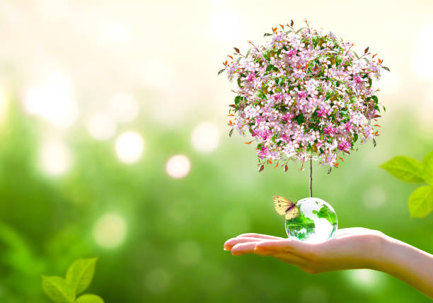 istock World Earth Day concept. Saving environment, save and protect clean green planet and ecology. Globe, butterfly and blooming sakura in hand. 2197884316