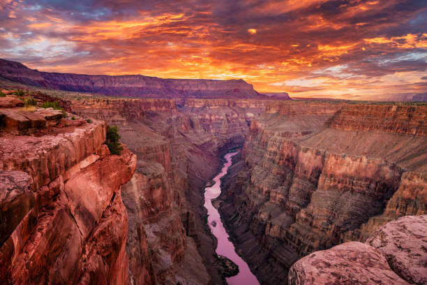istock Grand Canyon Toroweap Overlook Sunrise 2197894222