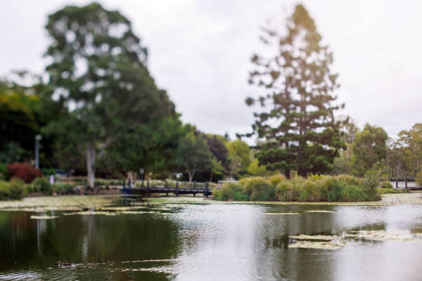 Parkland and lake shot on tilt-shift lens