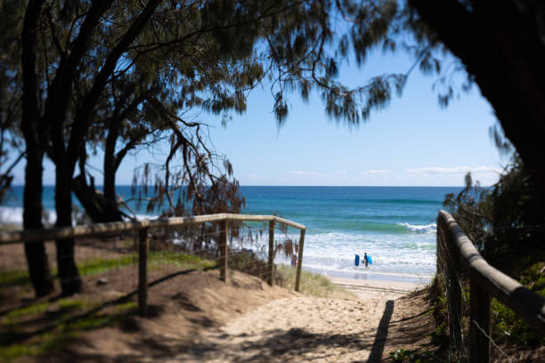 Glimpse of beach through the trees shot on tilt-shift lens