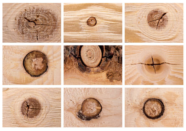 a set of different knots on the wood is isolated