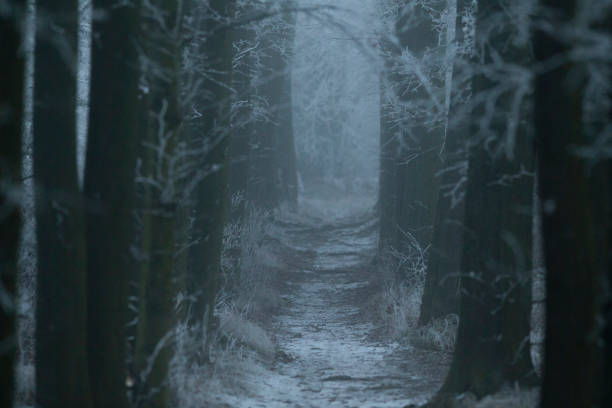 istock Dark Foggy Tunnel with Mysterious Lighting and Foreboding Atmosphere 2197897507