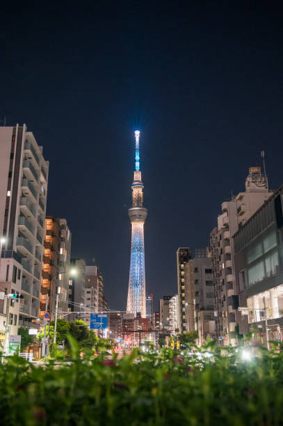 A stunning nighttime cityscape of Tokyo featuring the illuminated Skytree Tower as its focal point. Bright lights and moving vehicles add energy to the scene, perfectly showcasing the dynamic essence of Japan's capital.