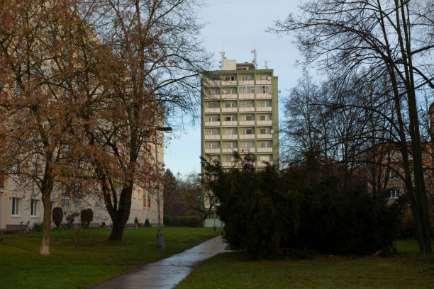 istock A beautiful park features a building with many windows 2197914737