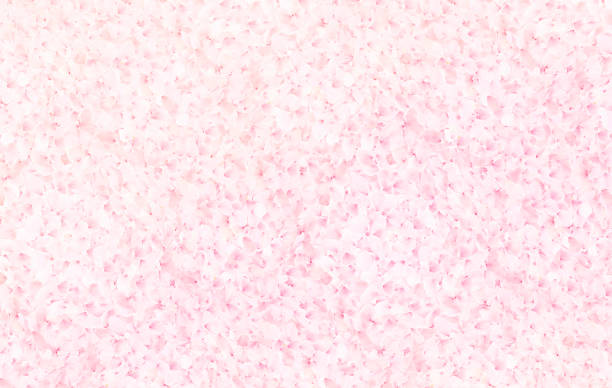 Background material with densely packed pink cherry blossom petals.