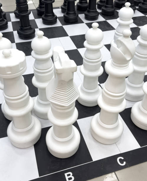 istock A white and black chess set with a white king and white pawns 2197919006