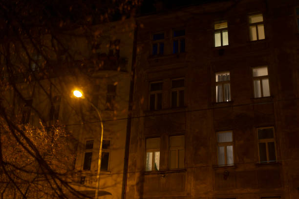 A night scene of an urban building with lit windows, a streetlight, and surrounding tree branches