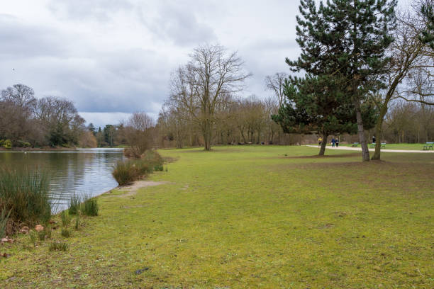 istock Calm lake surrounded by trees in a serene park during a cloudy day 2197922233