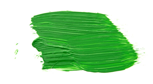 istock Vibrant Green Paint Stroke on White Canvas 2197922686