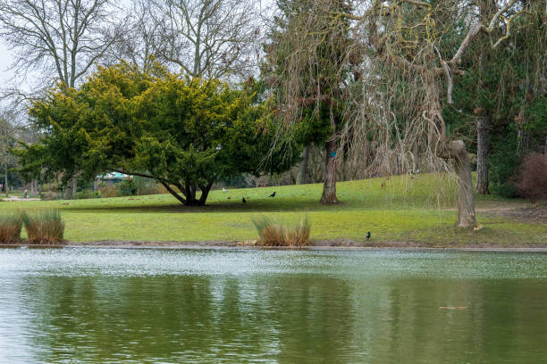 Nature lovers enjoy a quiet afternoon by a serene lake, surrounded by vibrant greenery and gentle ripples, perfect for relaxation and reflection.