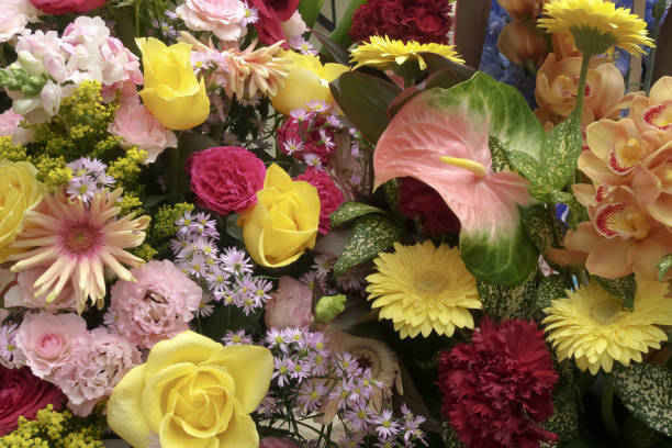 istock Colorful and beautiful flower arrangement 2197925025