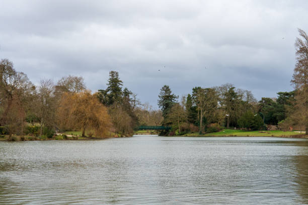 istock Serene lake surrounded by trees and gentle clouds on a cloudy afternoon 2197925492