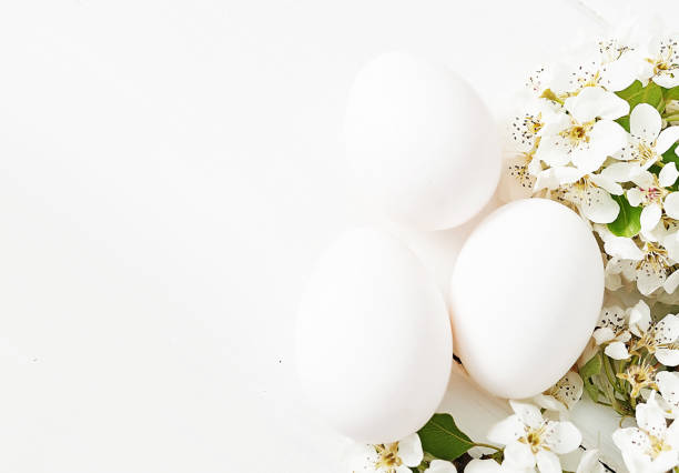 istock White Easter eggs and spring branch with flowers on wooden background. Spring easter greeting card.Flowers Cherry flowering.Spring flowers. Beautiful Orchard.Springtime 2197926540