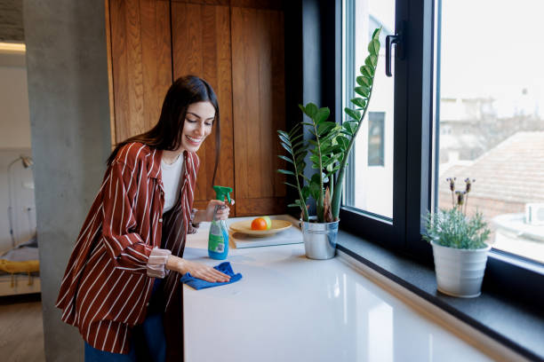 istock Young Adult Woman Cleaning a Modern Kitchen 2197927574