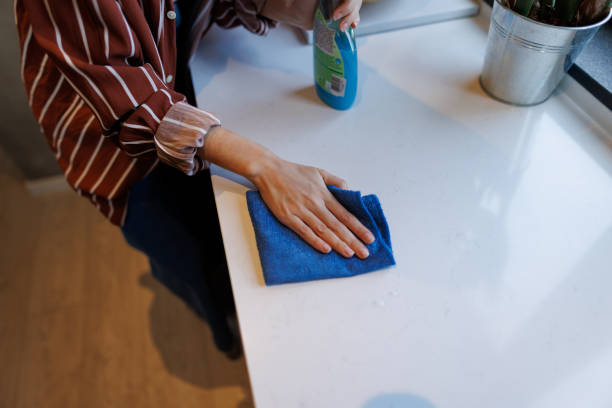 istock Person Cleaning Kitchen Counter with Spray Bottle 2197927592