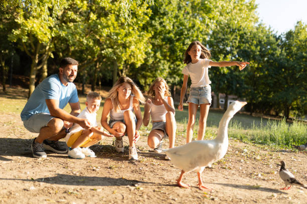 istock Family enjoying a day at the park watching ducks 2197927628