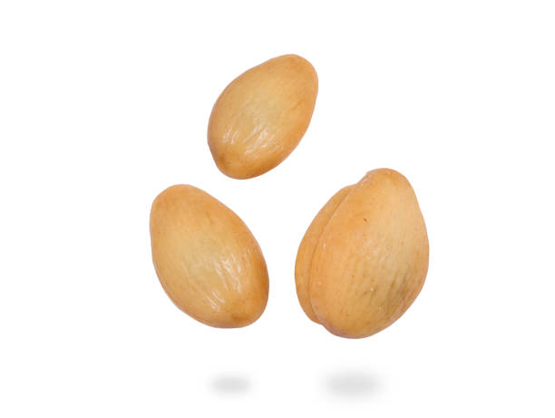 istock Salak Fruit falling in the air with clipping path. Salak (Salacca zalacca) fruit or Waive Fruit ,Snake fruit on white. 2197928554