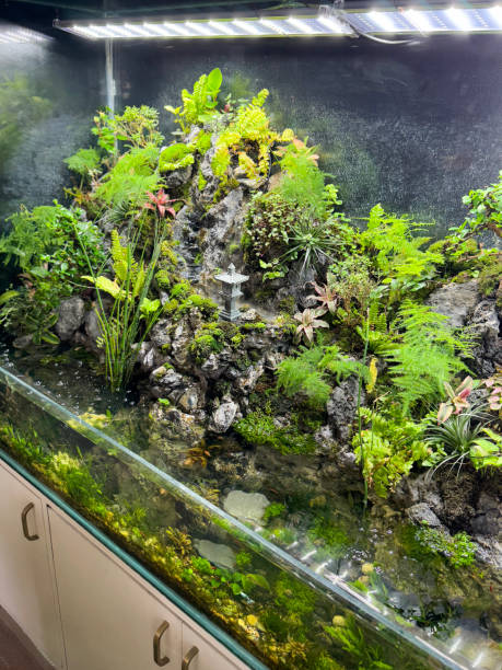 istock Image of indoor aquatic setup featuring lush greenery, rocks, waterfall, serene environment, terrarium, fish tank 2197931380