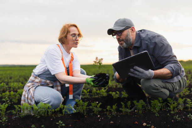 istock Two Farmers Analyzing and Planting Crops in a Field Using Technology 2197934400