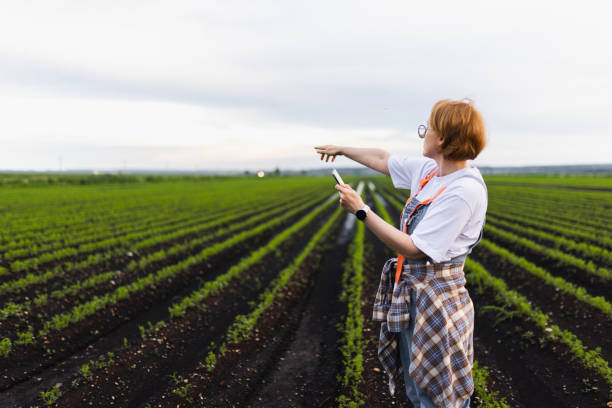 istock Farmer Using Smartphone in Green Field Pointing at Crop Rows 2197934569
