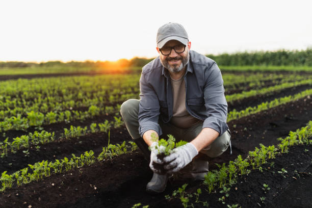 istock Farmer Tending to Small Plants in Field During Sunrise 2197934638