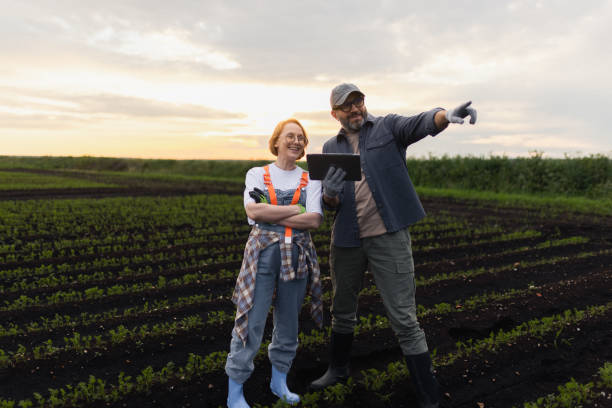 istock Farmers Discussing Crops Using a Tablet on a Rural Farm at Sunset 2197934758