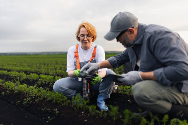 istock Farm Workers Inspecting Plants in a Field on a Sunny Day 2197934862