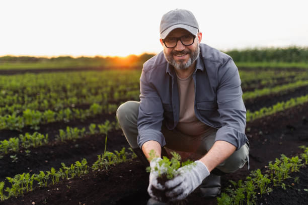 istock Farmer Smiling While Tending Plants in a Field During Sunset 2197934880