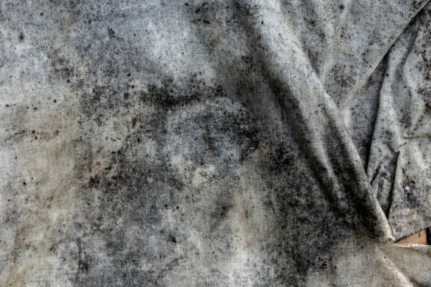 A close-up of a gray fabric surface displaying prominent signs of mold and discoloration, suggesting an aged, weathered look. Ideal for background textures and exploration of antique or vintage themes.