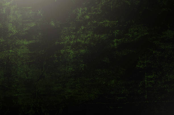 Luxory dark concrete background with copy space. Abstract black green textured background. Dark green texture