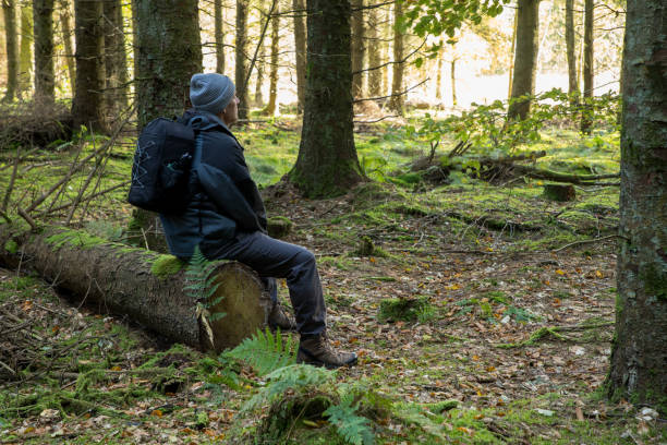 istock alone man sitting on fallen tree in green forest thinking about life, man and nature, man in forest in scandinavia 2197938194